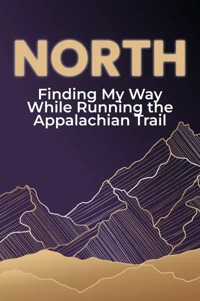Book cover 4