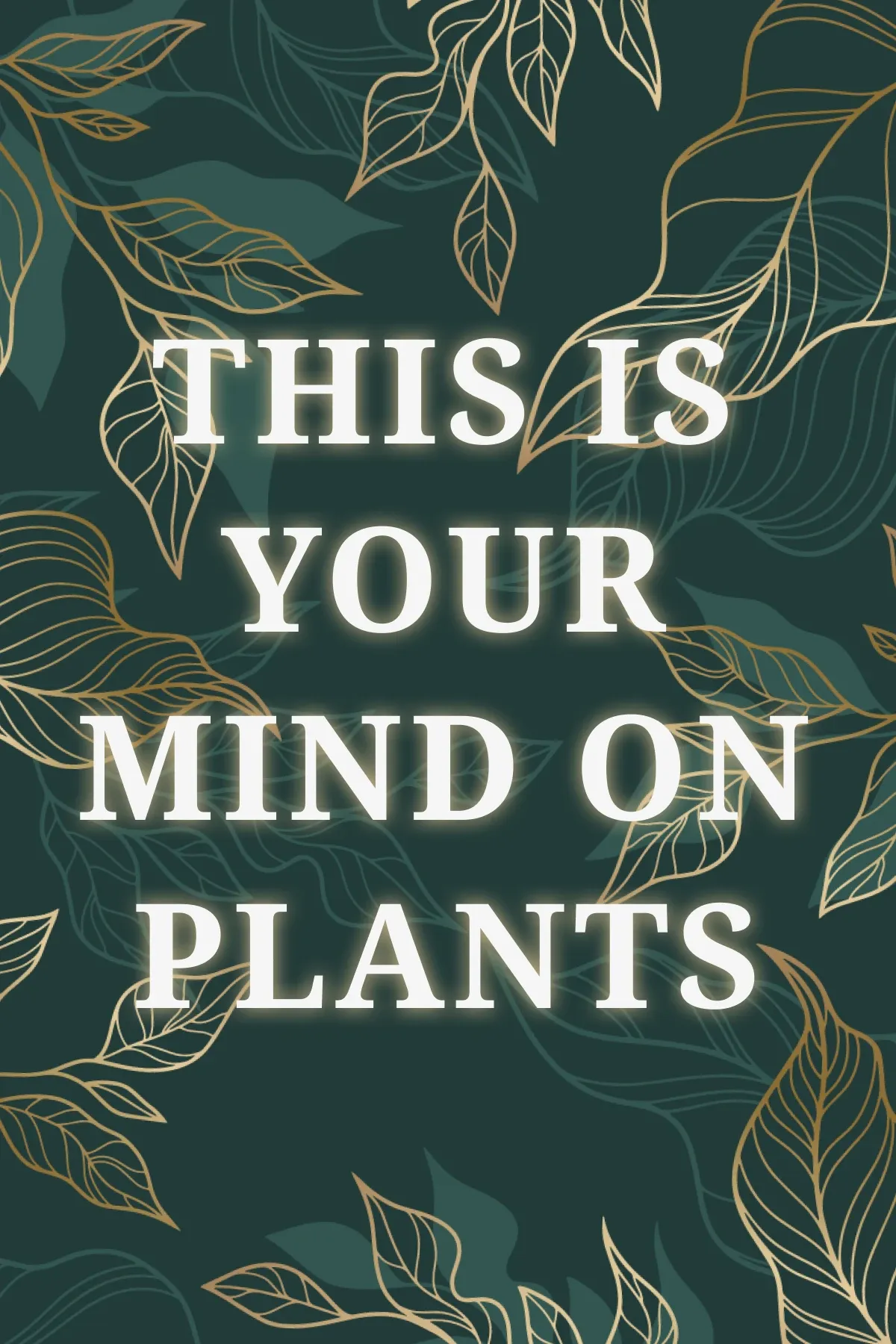 Book cover 8