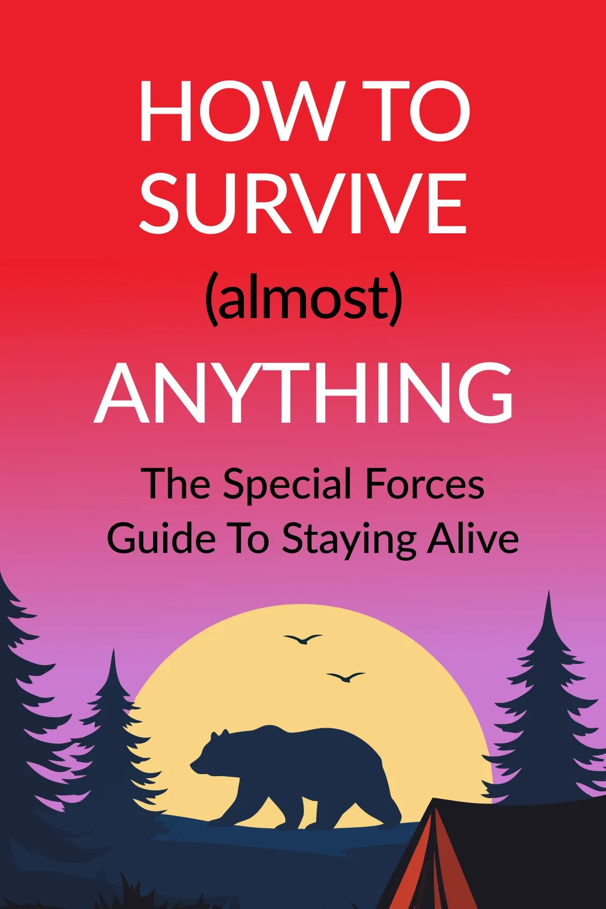 Book cover 6