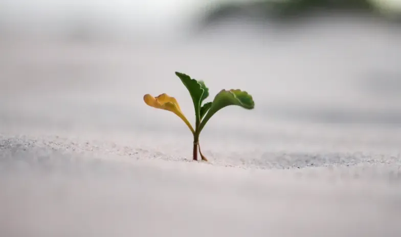 What is resilience and how you can build it