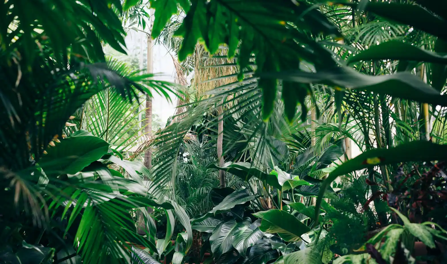 Quotes about plants: Learn from nature