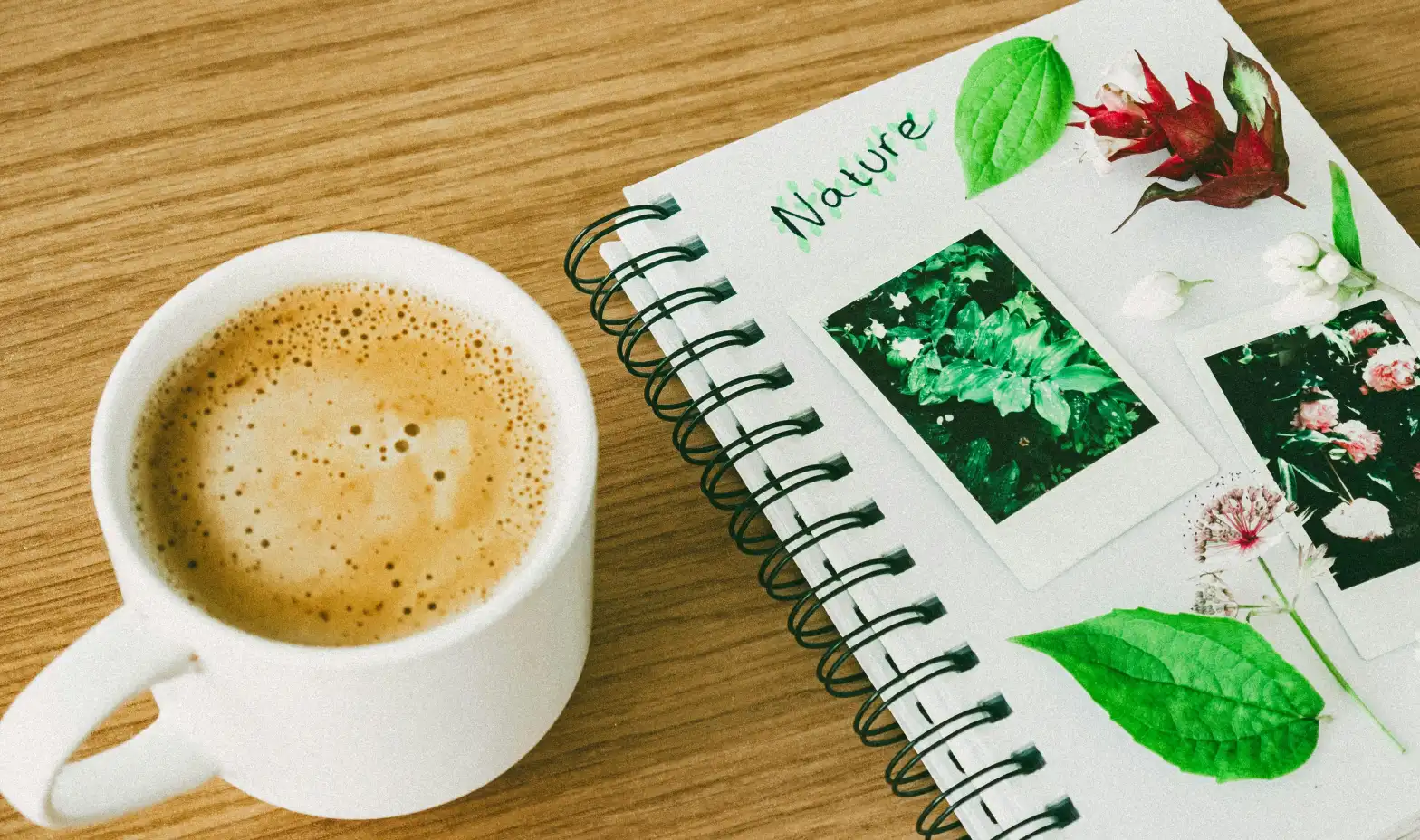 A warm coffee cup next to an open notebook showcasing beautiful nature photography.