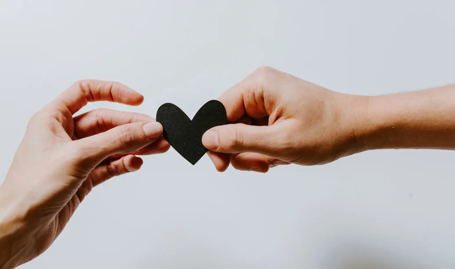 A pair of hands cradling a black heart shape, representing affection and unity.