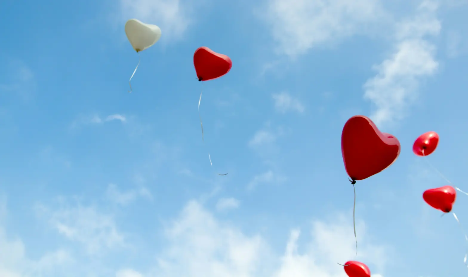 A vibrant bunch of red and white heart-shaped balloons, symbolizing love and celebration, against a bright background.