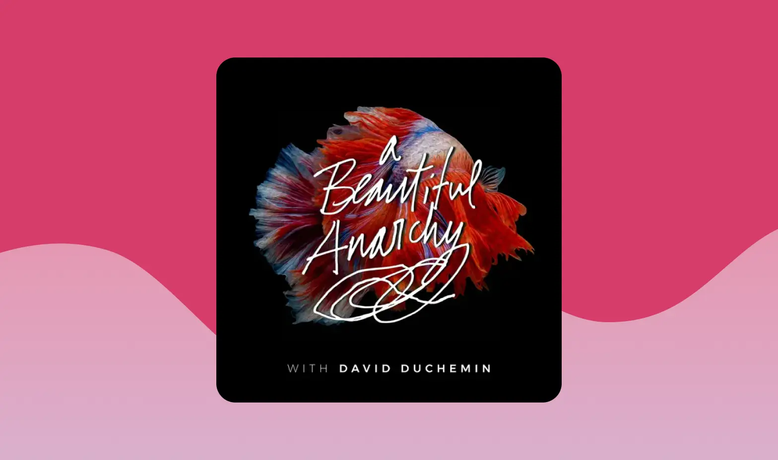 A Beautiful Anarchy podcast