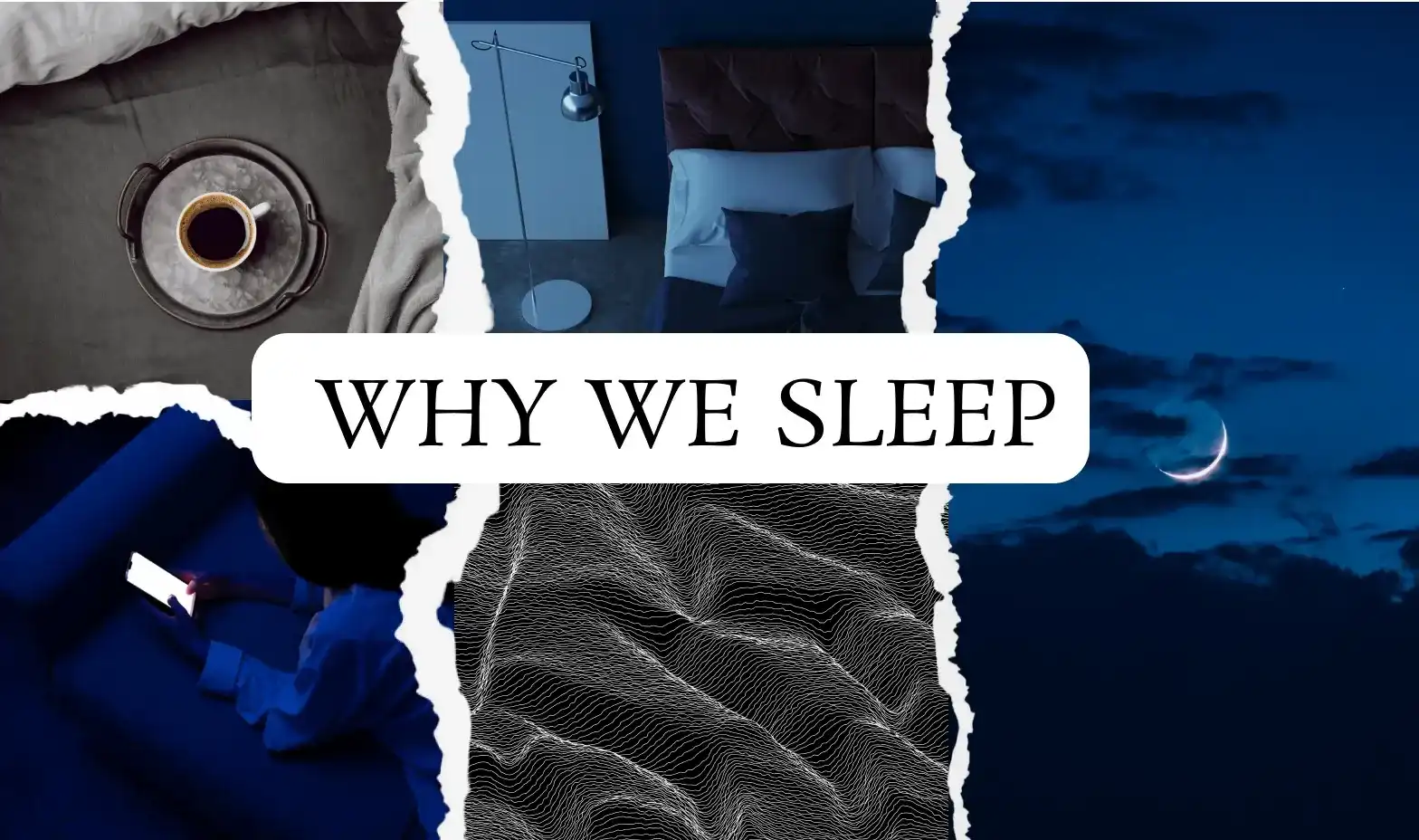 Why We Sleep science-based message about healthy sleep and cognitive performance