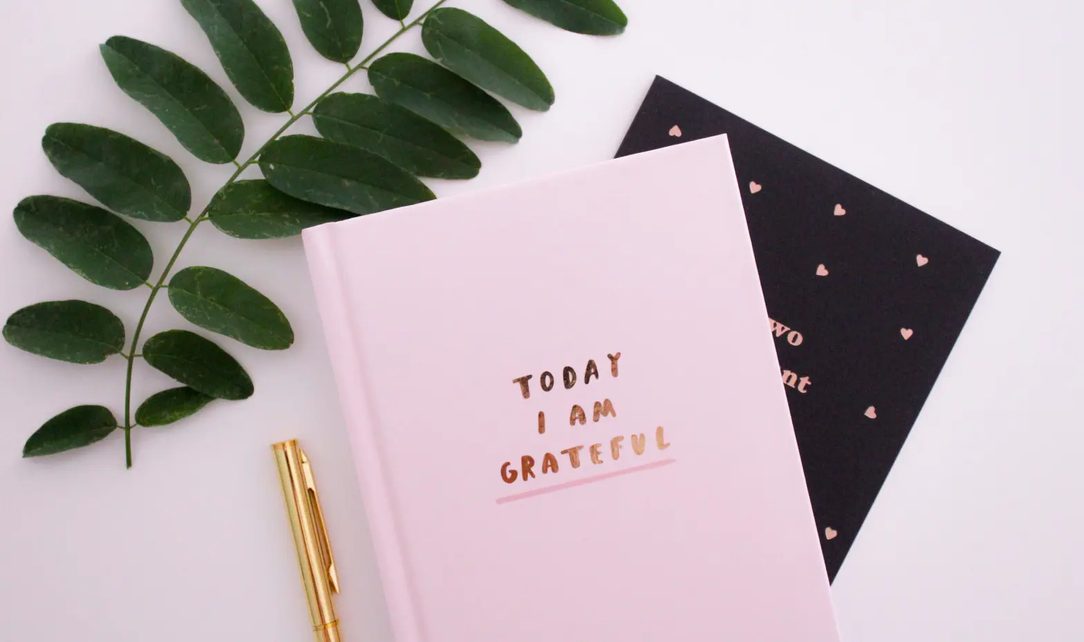 A beautifully designed gratitude journal, perfect for jotting down daily thankful thoughts